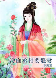冷面丞相要追妻
