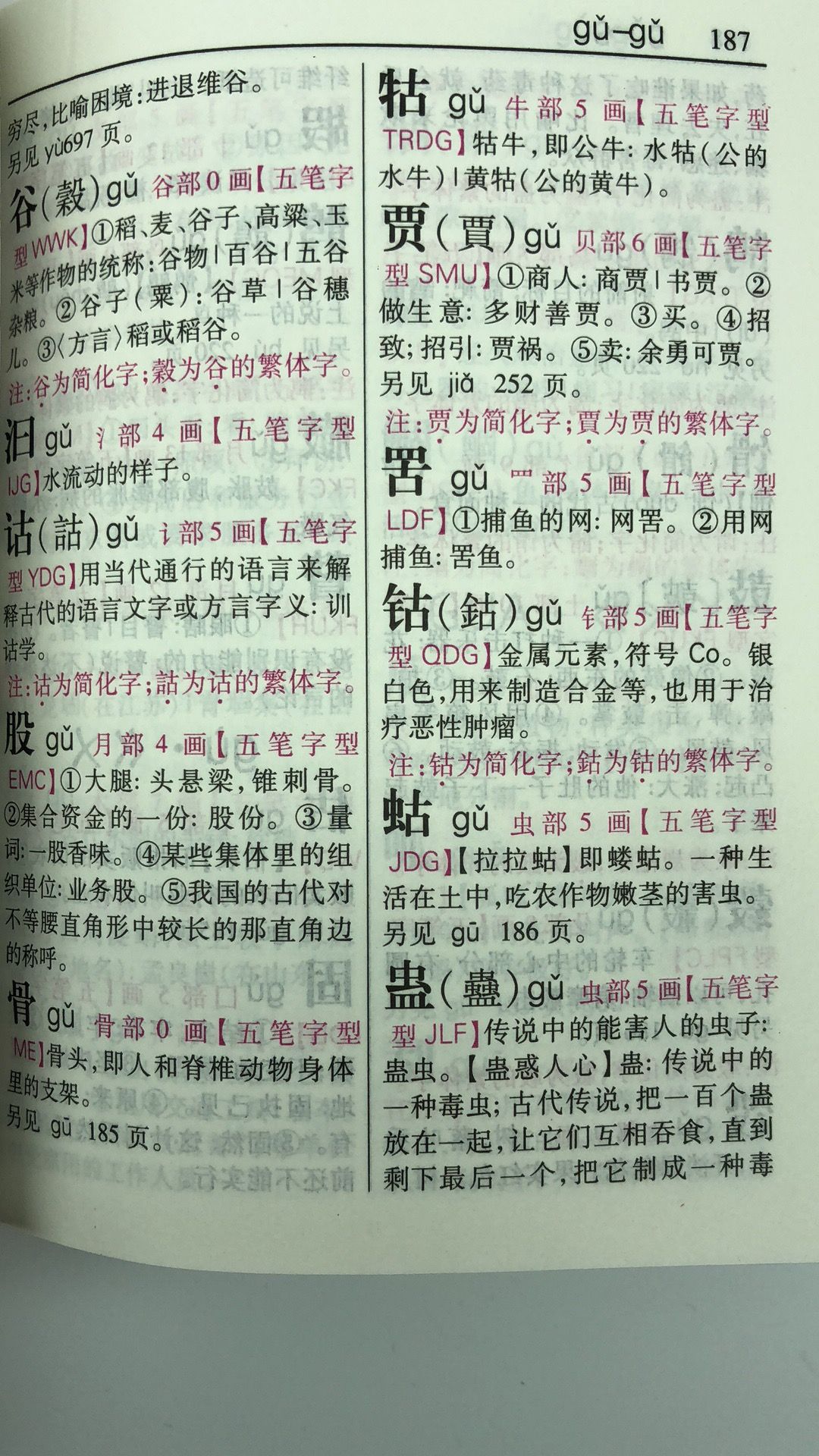 新编新华字典
